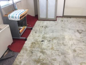 フロアカーペット張替中